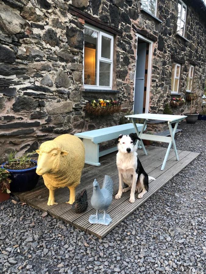 Bryn Glas Wales Villa Llangynog Esterno foto